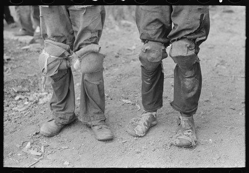 Cotton pickers with knee pads, Lehi, Arkansas