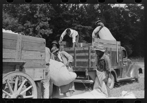 Activity around a cotton truck, Lehi, Arkansas