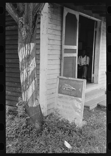 Barber pole on tree and sign, Kenner, Louisiana