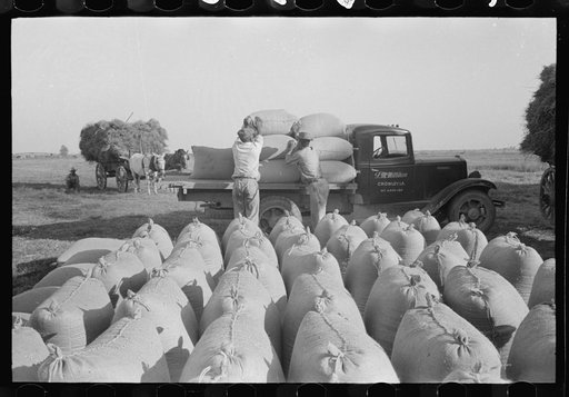 Untitled photo, possibly related to: Bags of threshed rice in the foreground, with loading operations in middleground, Crowley, Louisiana