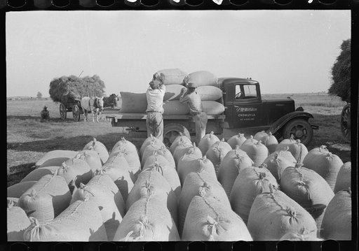 Bags of threshed rice in the foreground, with loading operations in middleground, Crowley, Louisiana