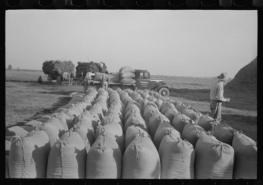 Untitled photo, possibly related to: Bags of threshed rice in the foreground, with loading operations in middleground, Crowley, Louisiana