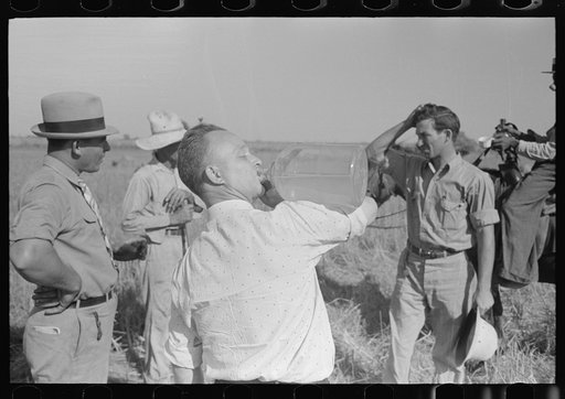 Untitled photo, possibly related to: Rice farmer drinking in the fields, Crowley, Louisiana