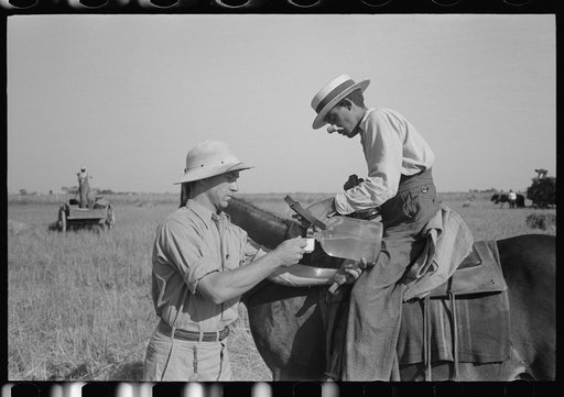 Rice farmer getting drink of water from water boy on farm near Crowley, Louisiana