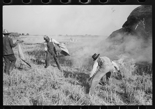 Fighting fire of rice straw stack in rice field near Crowley, Louisiana. Position of fighters gave an idea of intense heat