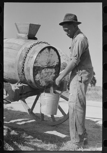 Untitled photo, possibly related to: Water boy along Bayou Teche, near Jeanerette, Louisiana; rice fields