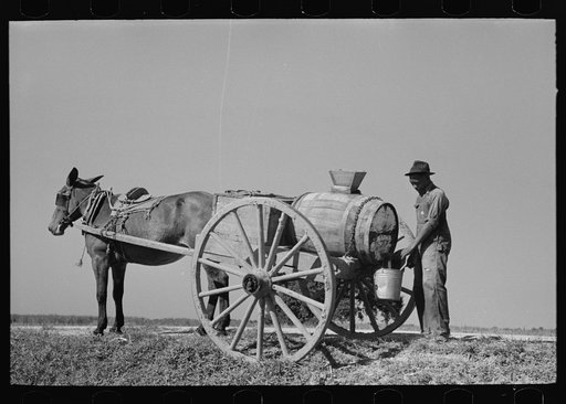 Water boy along Bayou Teche, near Jeanerette, Louisiana; rice fields