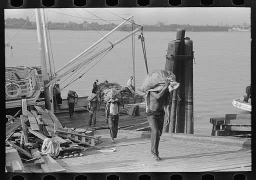 Unloading oysters from packet boat arriving at New Orleans, Louisiana