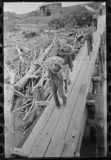 Untitled photo, possibly related to: Unloading oysters from packet boat arriving at New Orleans, Louisiana