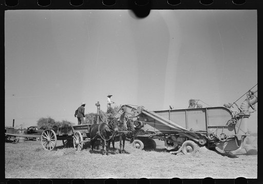 Untitled photo, possibly related to: Threshing rice near Crowley, Louisiana