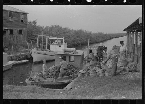 Unloading oysters from small boats, Olga, Louisiana. Note length of canal leading out to Gulf