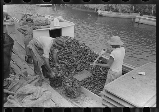 Untitled photo, possibly related to: Sacking oysters, Olga, Louisiana