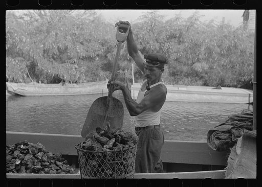 Fishermen unloading oysters, Olga, Louisiana