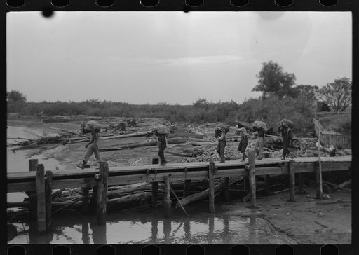 Untitled photo, possibly related to: Unloading oysters from packet boat arriving at New Orleans, Louisiana