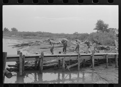 Untitled photo, possibly related to: Unloading oysters from packet boat arriving at New Orleans, Louisiana