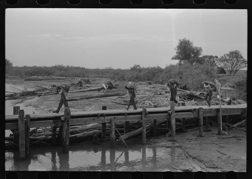 Untitled photo, possibly related to: Unloading oysters from packet boat arriving at New Orleans, Louisiana