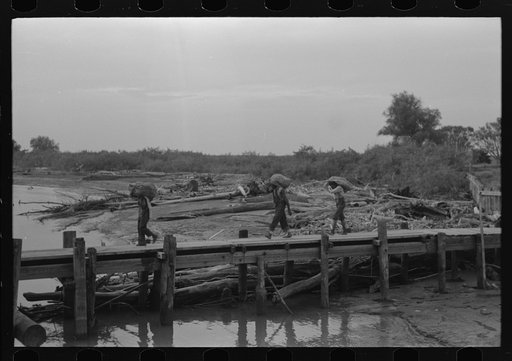 Untitled photo, possibly related to: Unloading oysters from packet boat arriving at New Orleans, Louisiana
