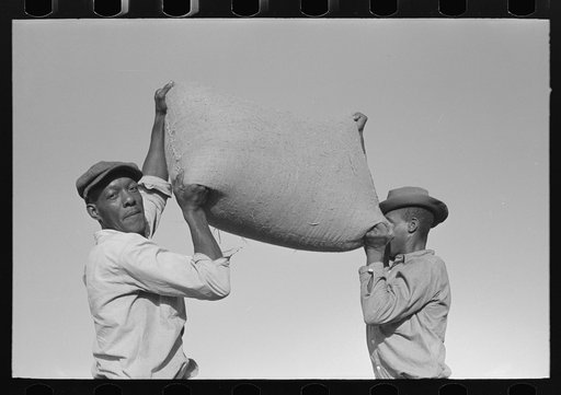 Negro workers hefting a bag of rice, Crowley, Louisiana