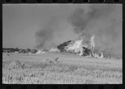 Untitled photo, possibly related to: Burning straw stack in rice field near Crowley, Louisiana