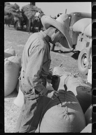 Untitled photo, possibly related to: Rice workers painting identification marks on sacks of rice, Crowley, Louisiana