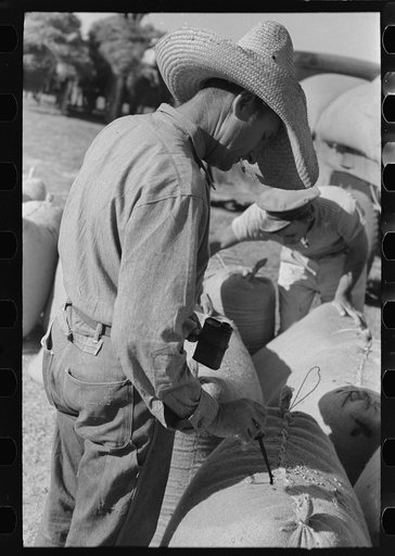 Rice workers painting identification marks on sacks of rice, Crowley, Louisiana