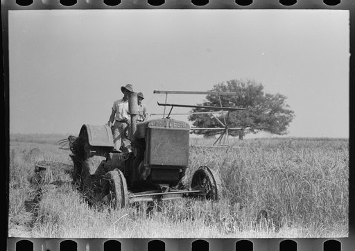 Untitled photo, possibly related to: Cutting rice with binder, Crowley, Louisiana