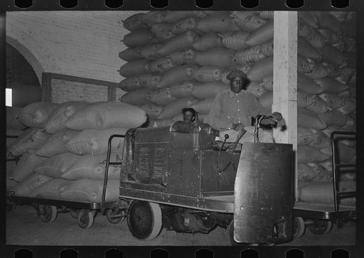 Moving rice in warehouse with electric mule, Abbeville, Louisiana