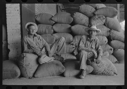 Untitled photo, possibly related to: Farmers sitting on bags of rice, state mill, Abbeville, Louisiana