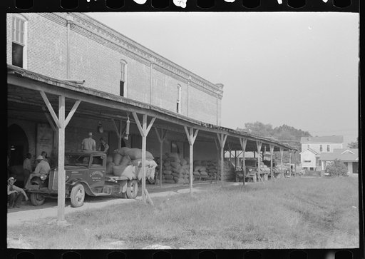 Unloading platform of state mill, Abbeville, Louisiana, with farmers' trucks waiting to be unloaded