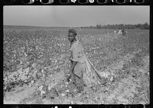 Negro cotton picker, Lake Dick Project, Arkansas