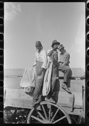 Negro cotton pickers on truck, Lake Dick, Arkansas