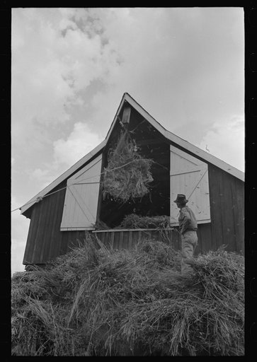 Untitled photo, possibly related to: Elevating hay into loft, Lake Dick Project, Arkansas