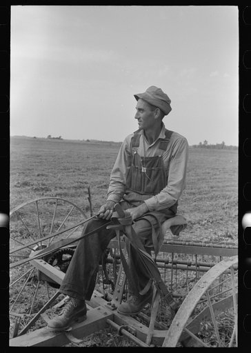 Untitled photo, possibly related to: Raking soybean hay, Lake Dick Project, Arkansas