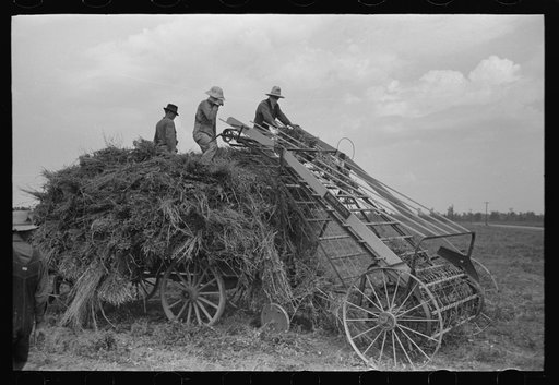 Loading machine attached to hay wagon, Lake Dick Project, Arkansas