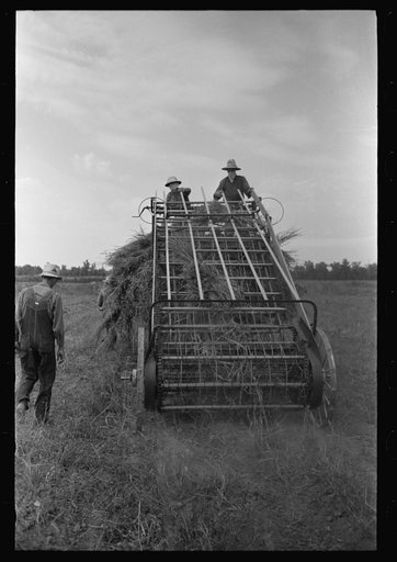 Hay loading machine in operation, Lake Dick Project, Arkansas