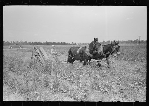 Untitled photo, possibly related to: Member of Lake Dick Cooperative Association repairing mowing machine, Arkansas