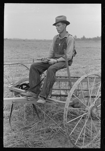 Untitled photo, possibly related to: Member of Lake Dick Cooperative Association, Lake Dick Project, Arkansas