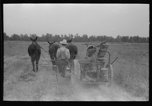 Cutting hay, Lake Dick Project, Arkansas