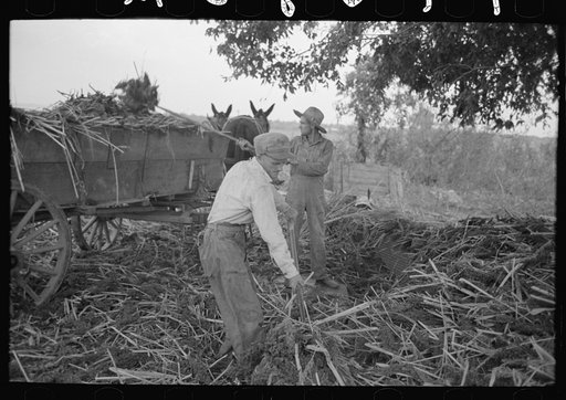 Untitled photo, possibly related to: Reaching for grab used in hoisting hay to loft, Lake Dick Project, Arkansas