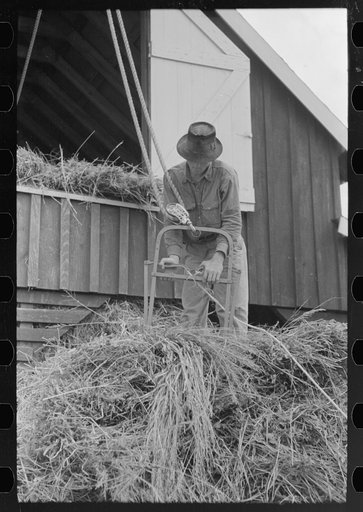 Untitled photo, possibly related to: Reaching for grab used in hoisting hay to loft, Lake Dick Project, Arkansas
