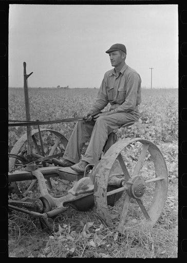 Member of Lake Dick Cooperative Association, Lake Dick Project, Arkansas