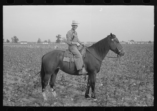 Member of cooperative association, overseer of cotton pickers, Lake Dick Project, Arkansas