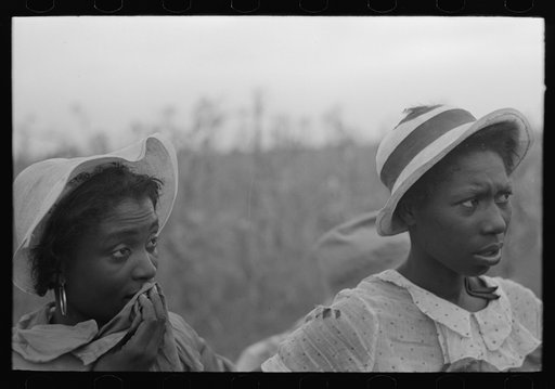Negro day laborers employed in picking cotton at Lake Dick Project, Arkansas