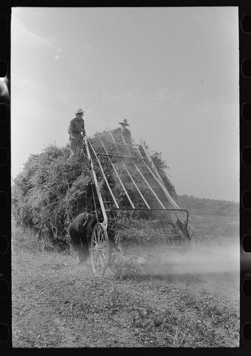 Untitled photo, possibly related to: Hay loading machine in operation, Lake Dick Project, Arkansas