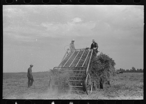 Untitled photo, possibly related to: Hay loading machine in operation, Lake Dick Project, Arkansas