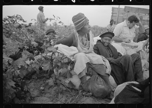 Day laborers, cotton pickers, in field, Lake Dick Project, Arkansas