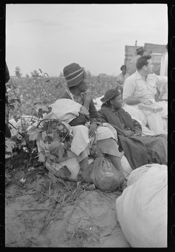 Untitled photo, possibly related to: Day laborers, cotton pickers, in field, Lake Dick Project, Arkansas