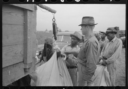 Untitled photo, possibly related to: Day laborers, cotton pickers, waiting to be paid off at end of day's work. Lake Dick Project, Arkansas