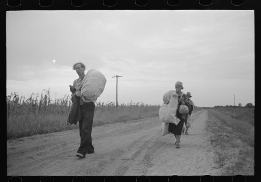 Cotton pickers, day laborers, walking in from field with cotton. Lake Dick Project, Arkansas
