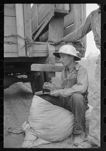 Untitled photo, possibly related to: Recording weights of cotton picked by day laborers, Lake Dick Project, Arkansas